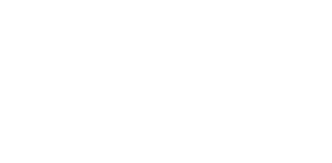 Econo Lift