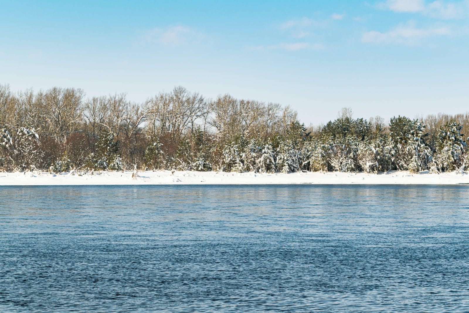 lake in winter with trees and snow on the ground